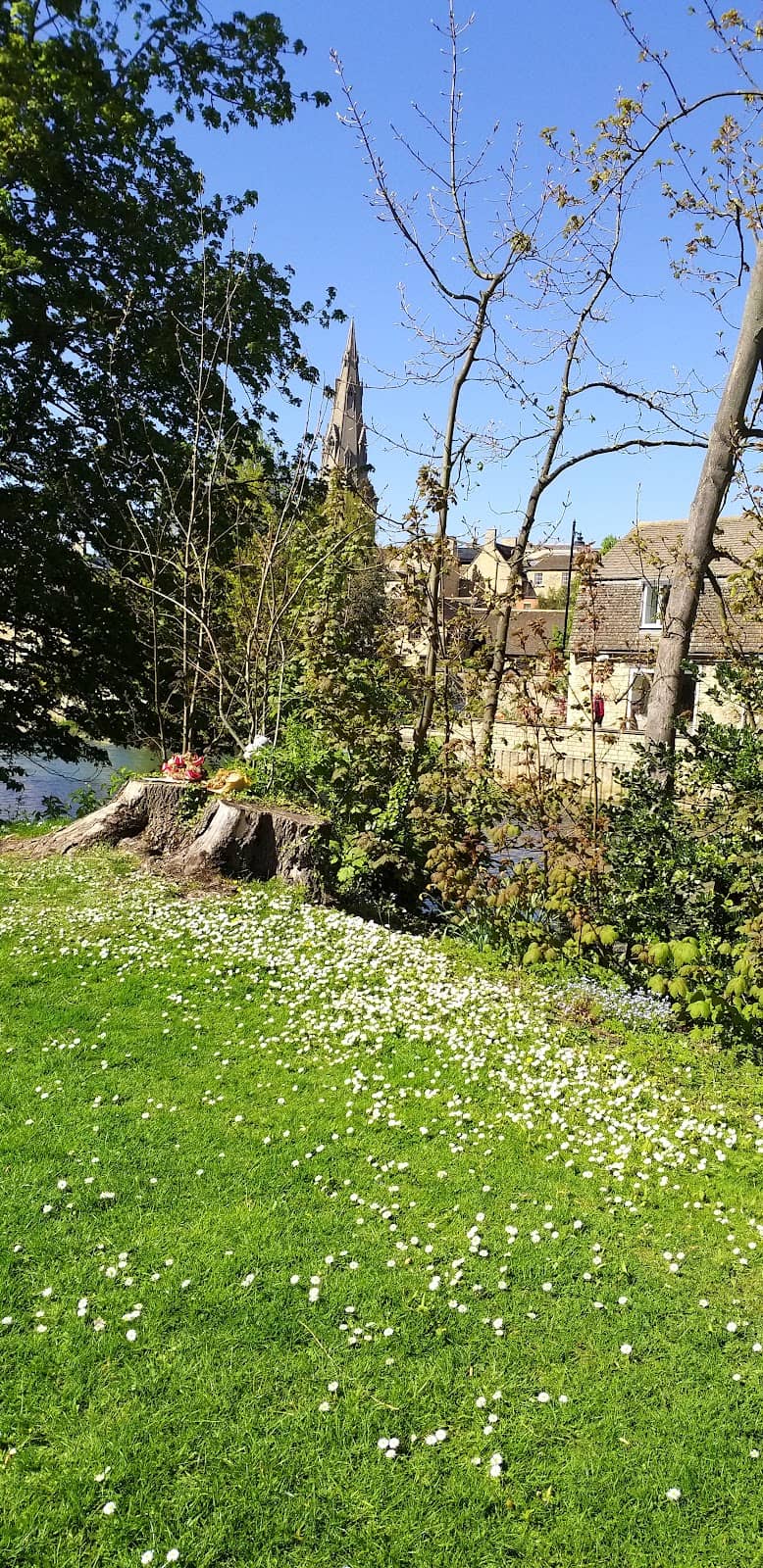 Elm Street Diner's Extravaganzas