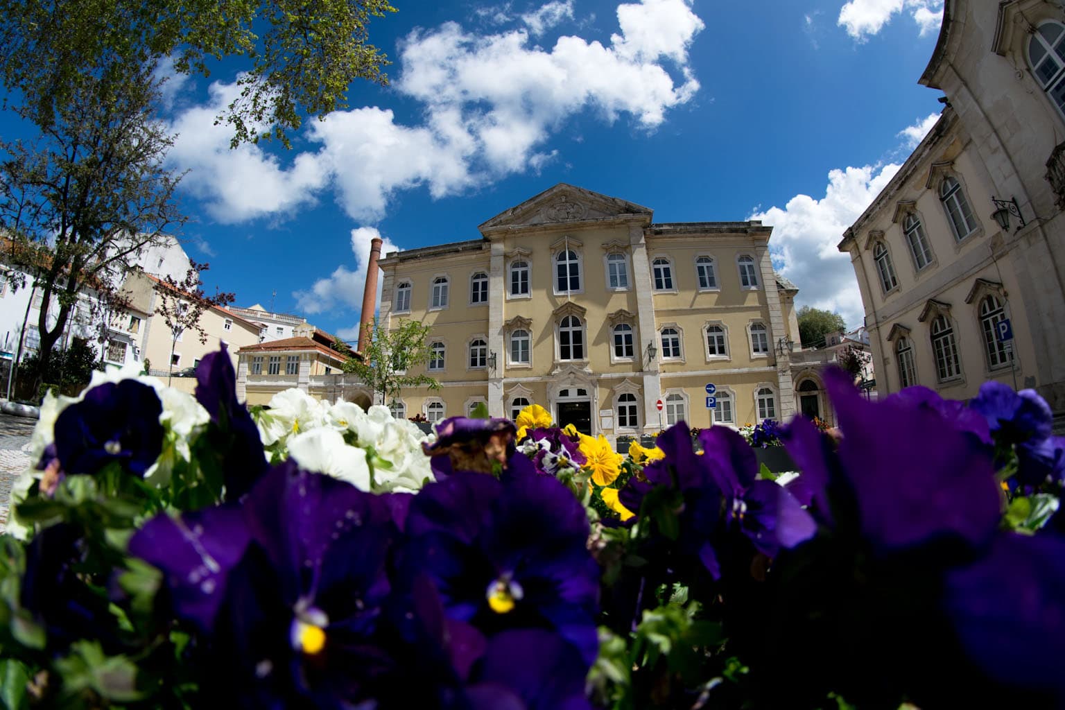 Thermal Spa Caldas da Rainha - Image 1