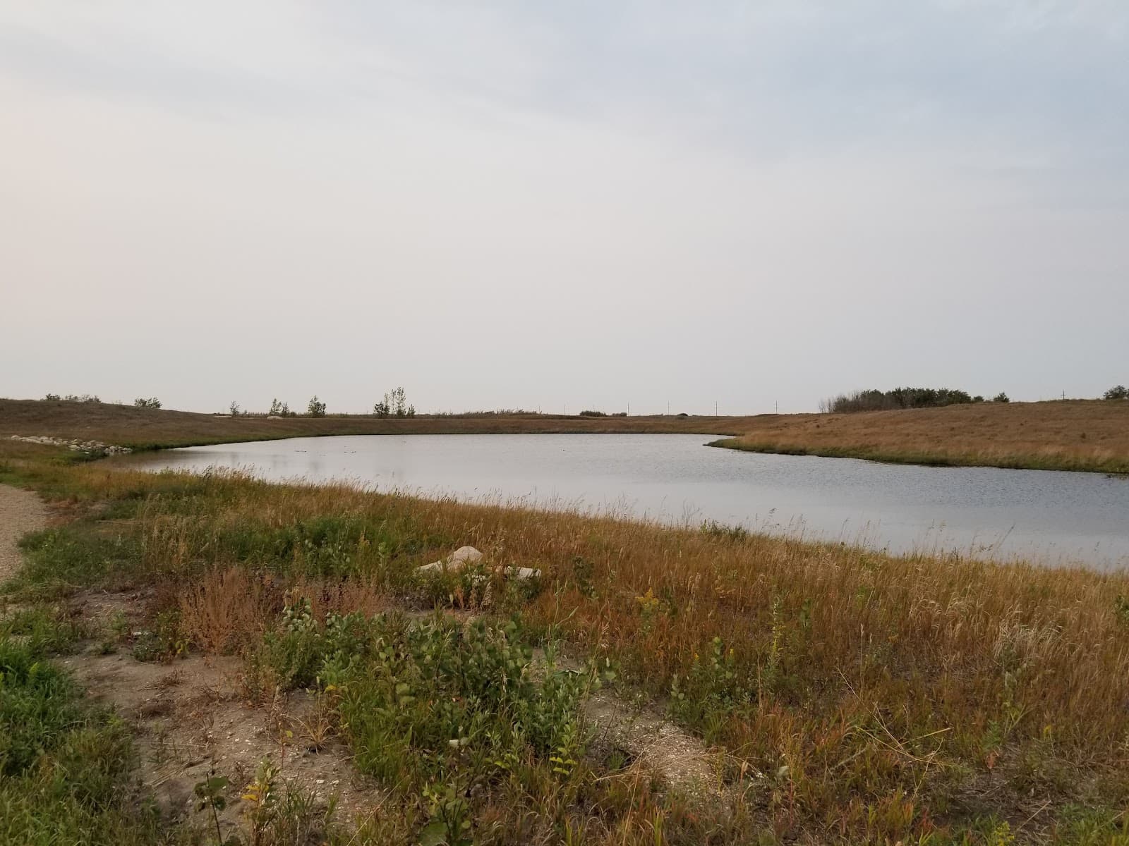Northeast Swale - Image 1