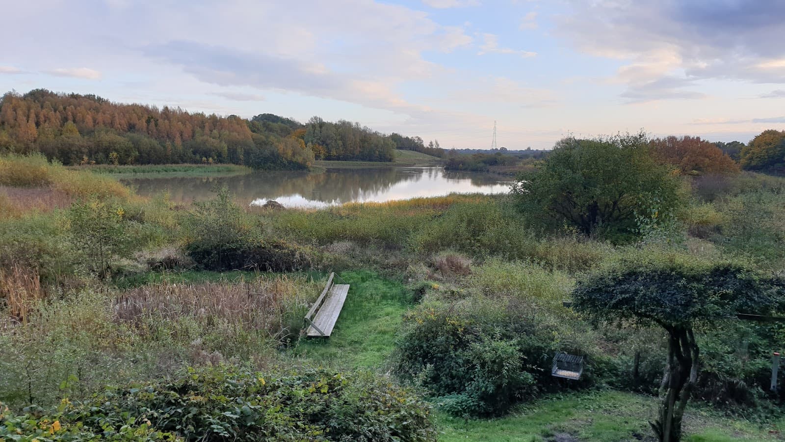 Thorpe Marsh Nature Reserve - Image 1