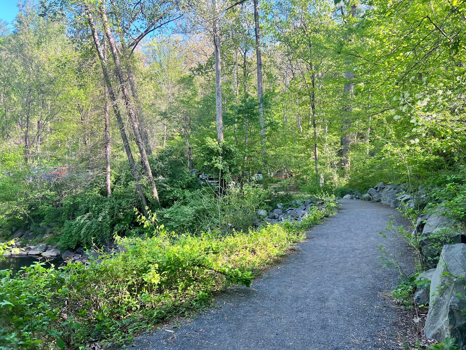 Difficult Run Stream Valley Park - Image 1