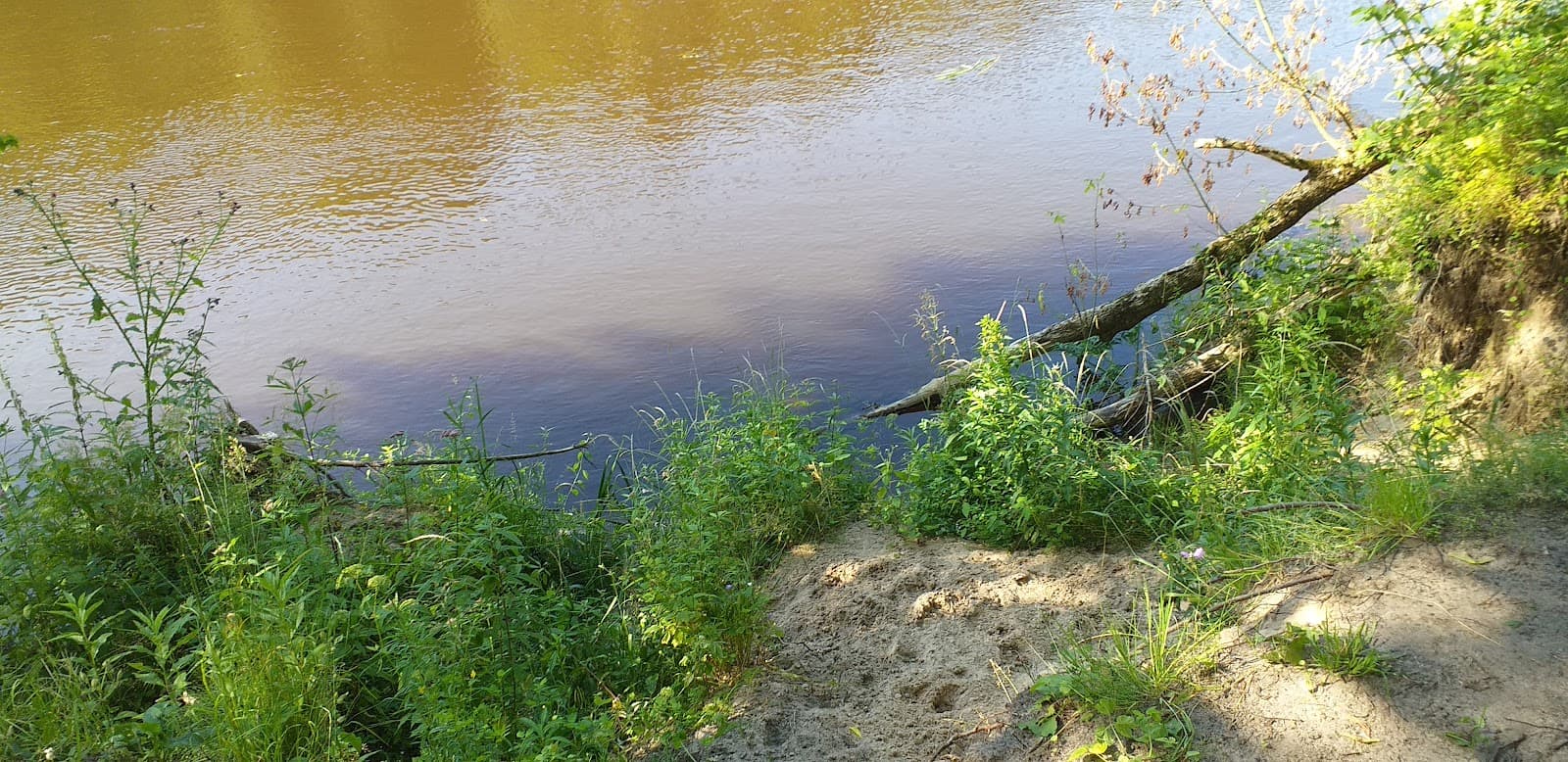 Vingis Park - Image 1