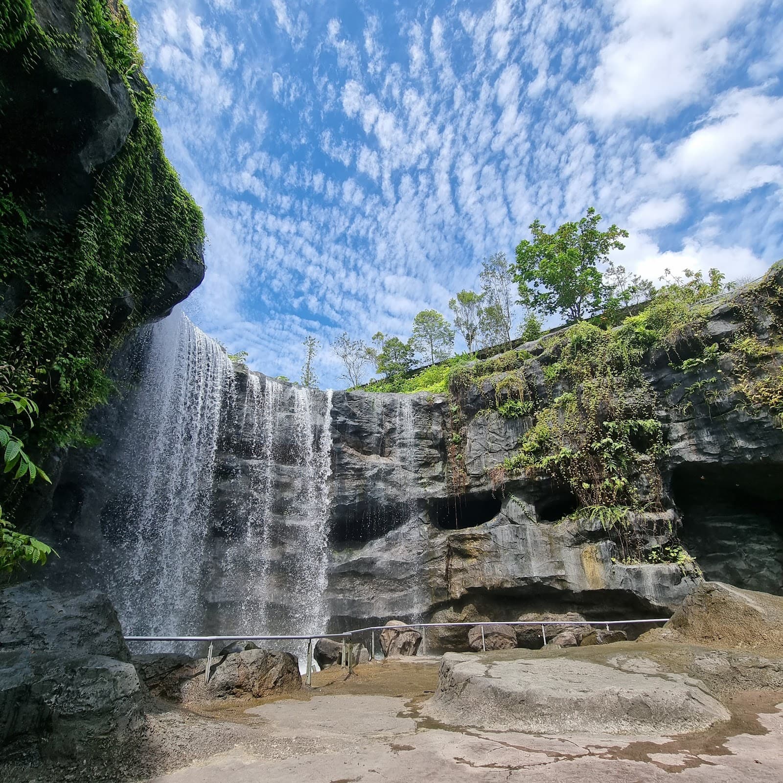 Mandai Wildlife West - Image 1