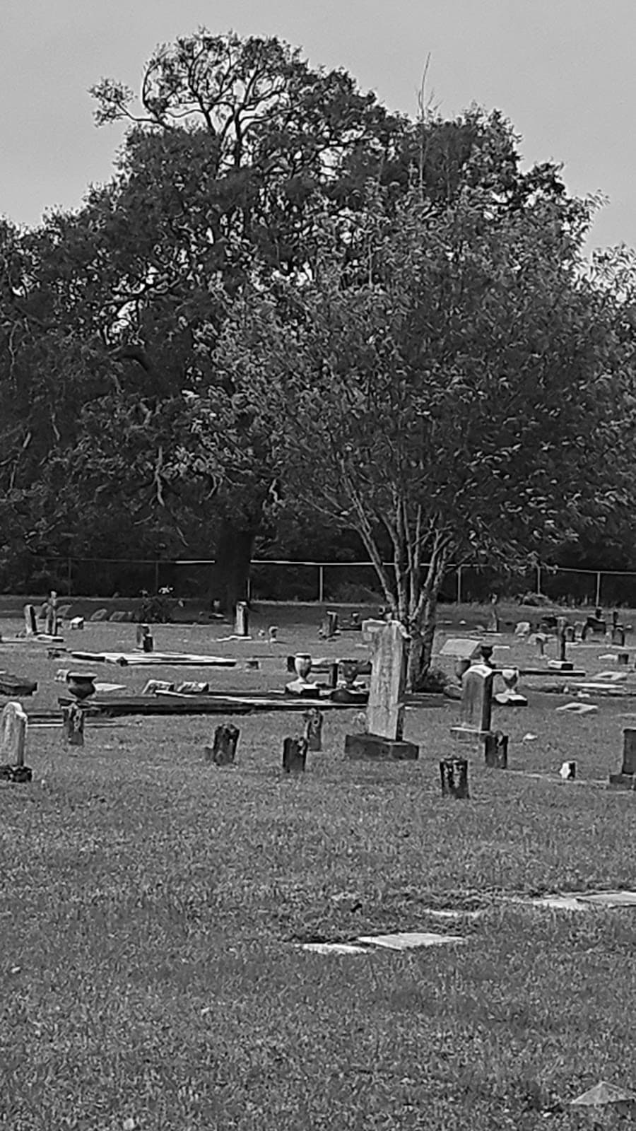 St John's Cemetery - Image 1