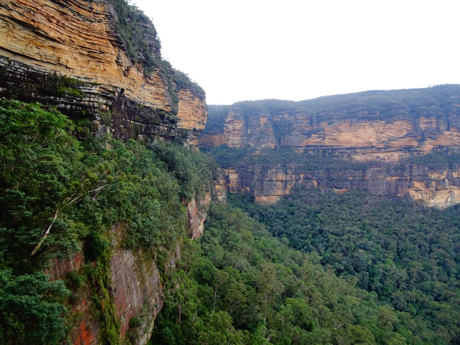 Wentworth Falls