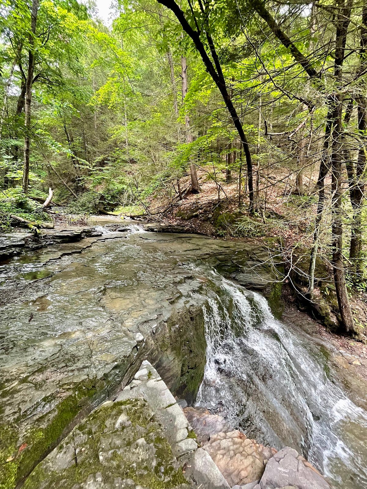 Waterman Conservation Education Center - Image 1