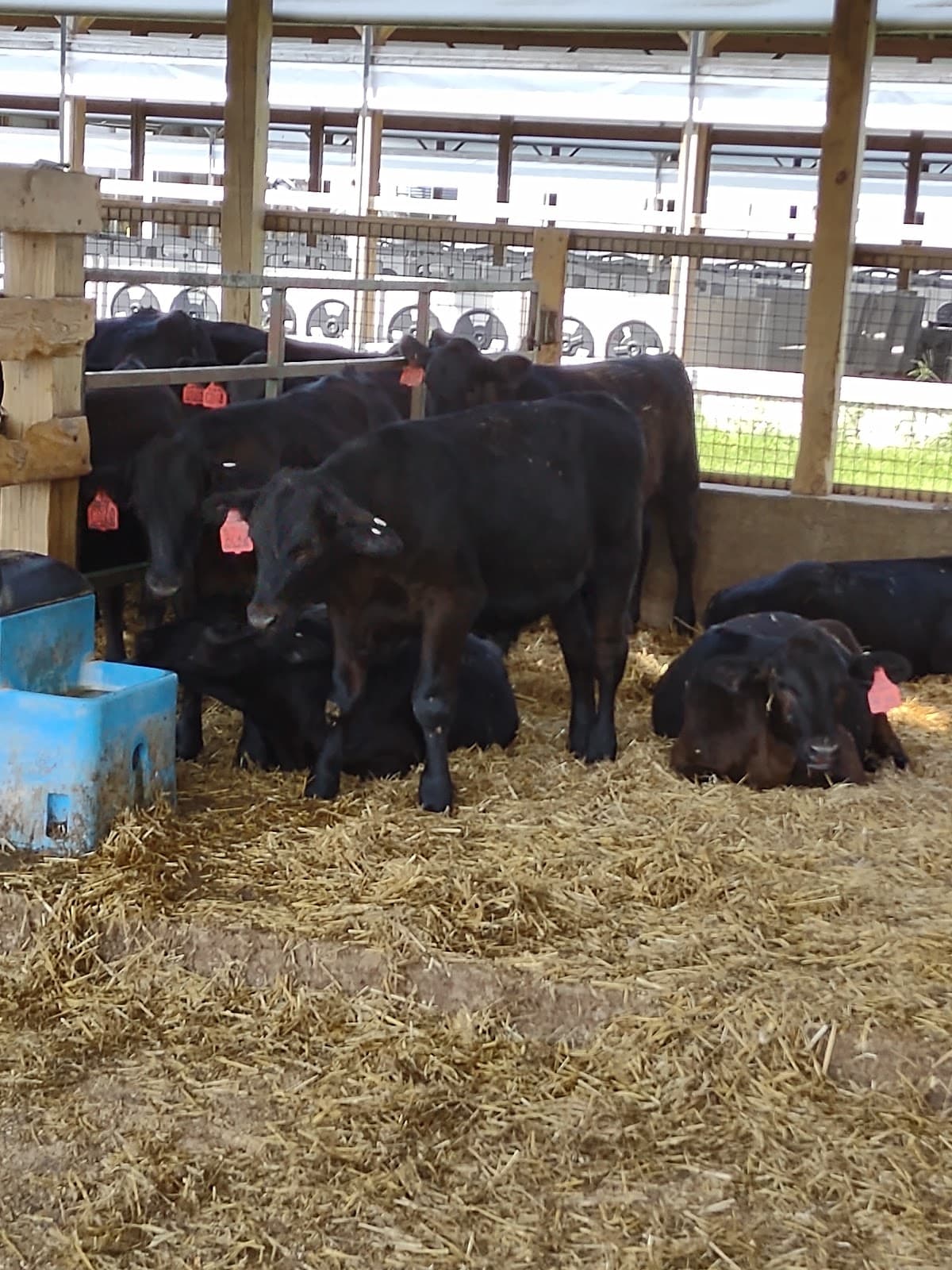 Country Dairy Farm Tours - Image 1