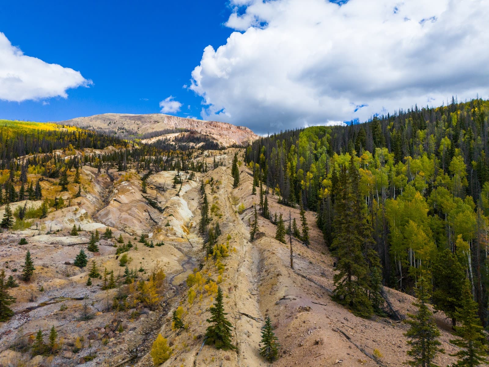 Slumgullion Earthflow - Image 1