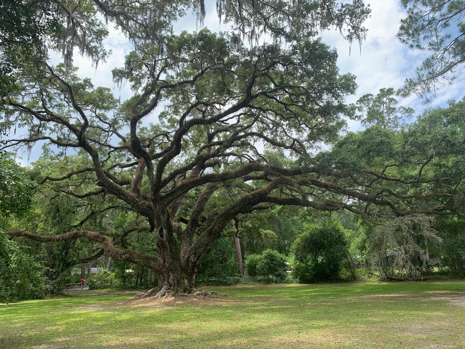 Dade Battlefield Historic State Park - Image 1