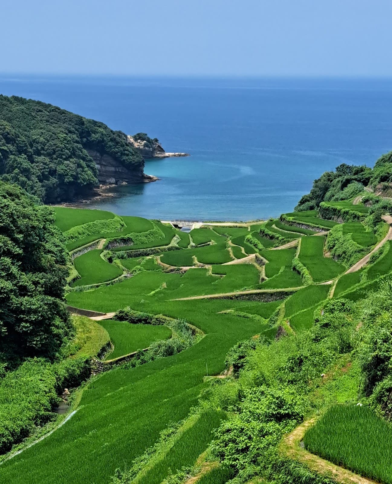 Hamanoura Rice Terraces - Image 1
