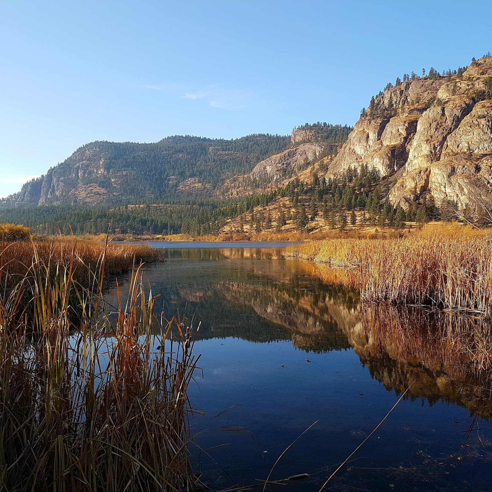 Vaseux Lake Migratory Bird Sanctuary - Image 1