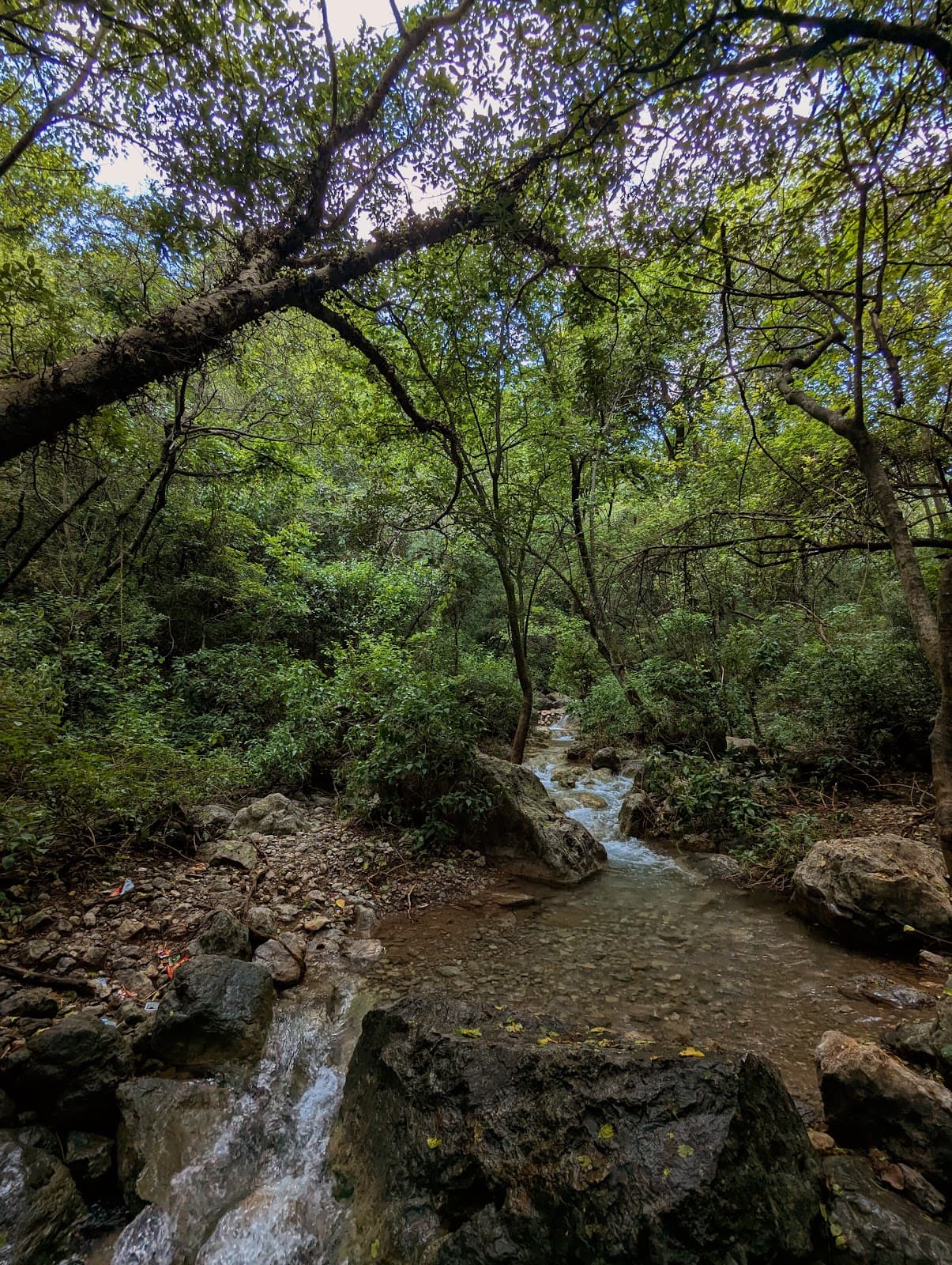 Trail 4 Margalla Hills - Image 1