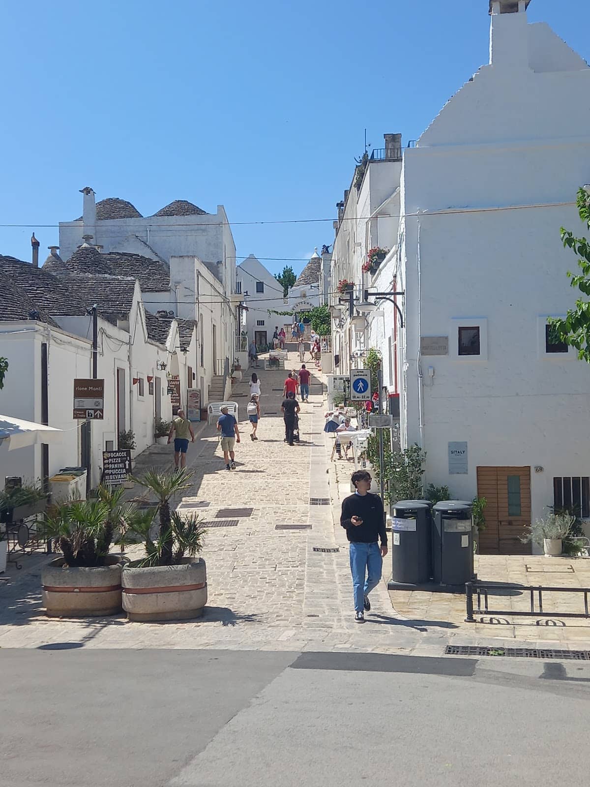 Piazza Del Popolo Viewpoint