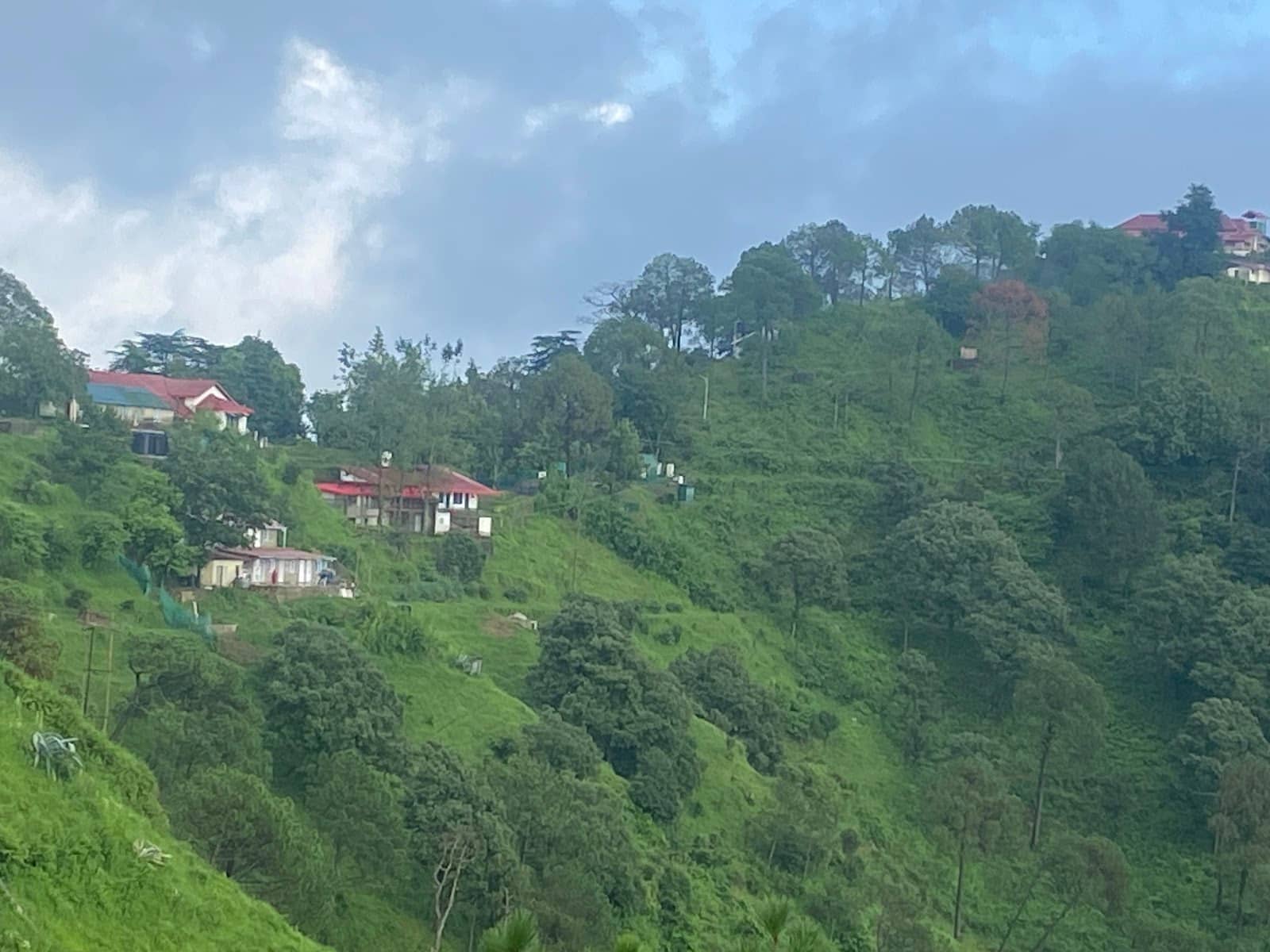 WHO Collaborating Centre