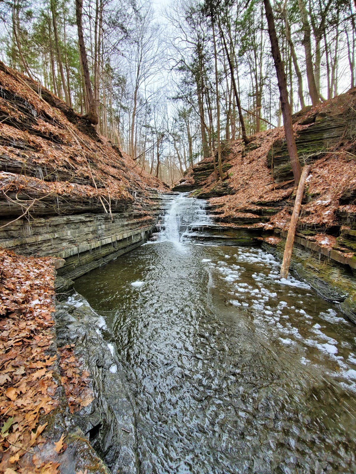 Lick Brook Gorge Sweedler Preserve - Image 1
