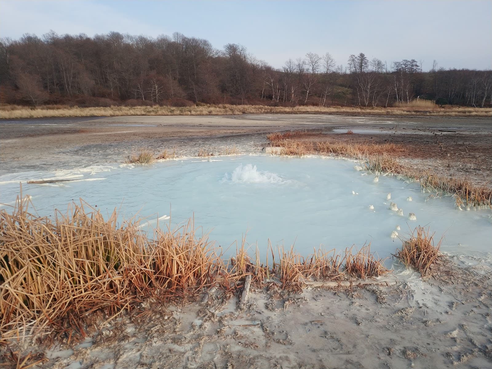 Caldara di Manziana Nature Reserve - Image 1