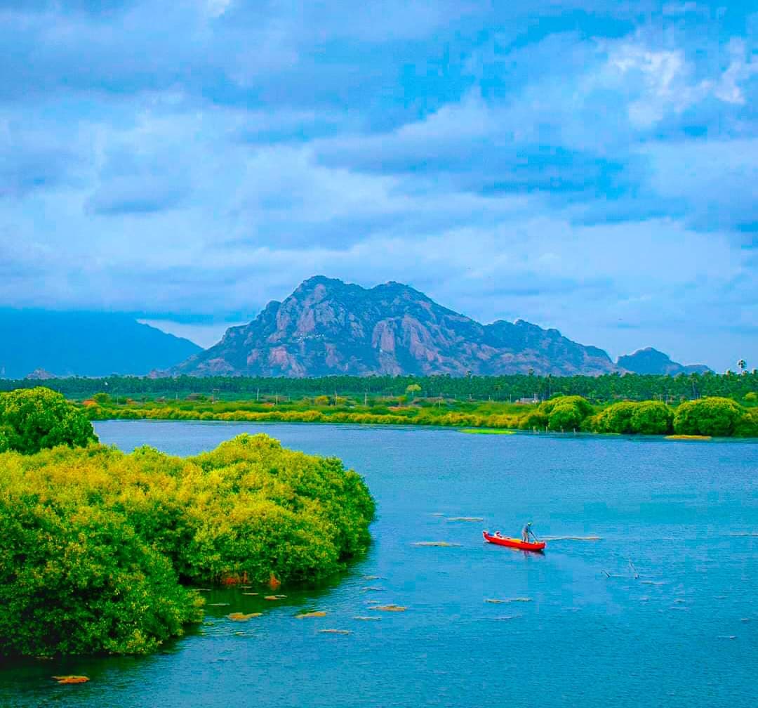 Manakudy Estuary - Image 1