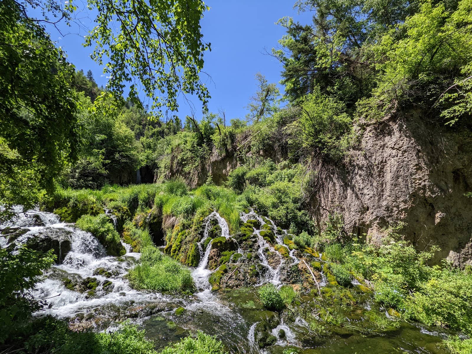 Spearfish Canyon Trail