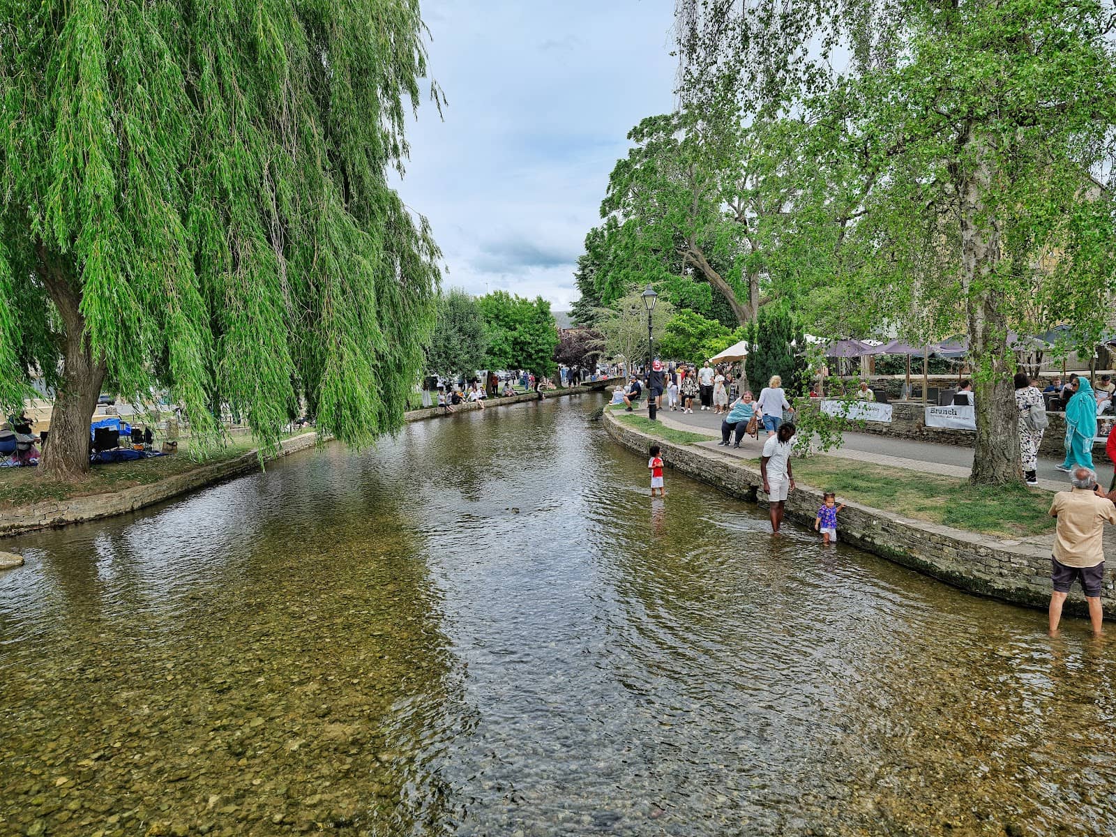 Duck Feeding by the River