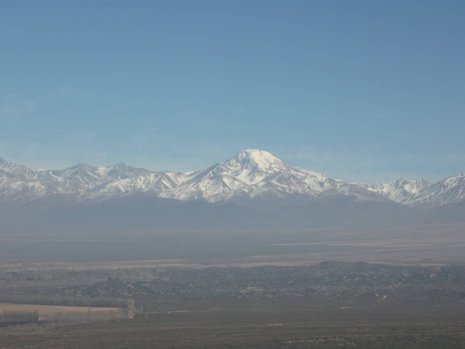 Vineyard Inspiration