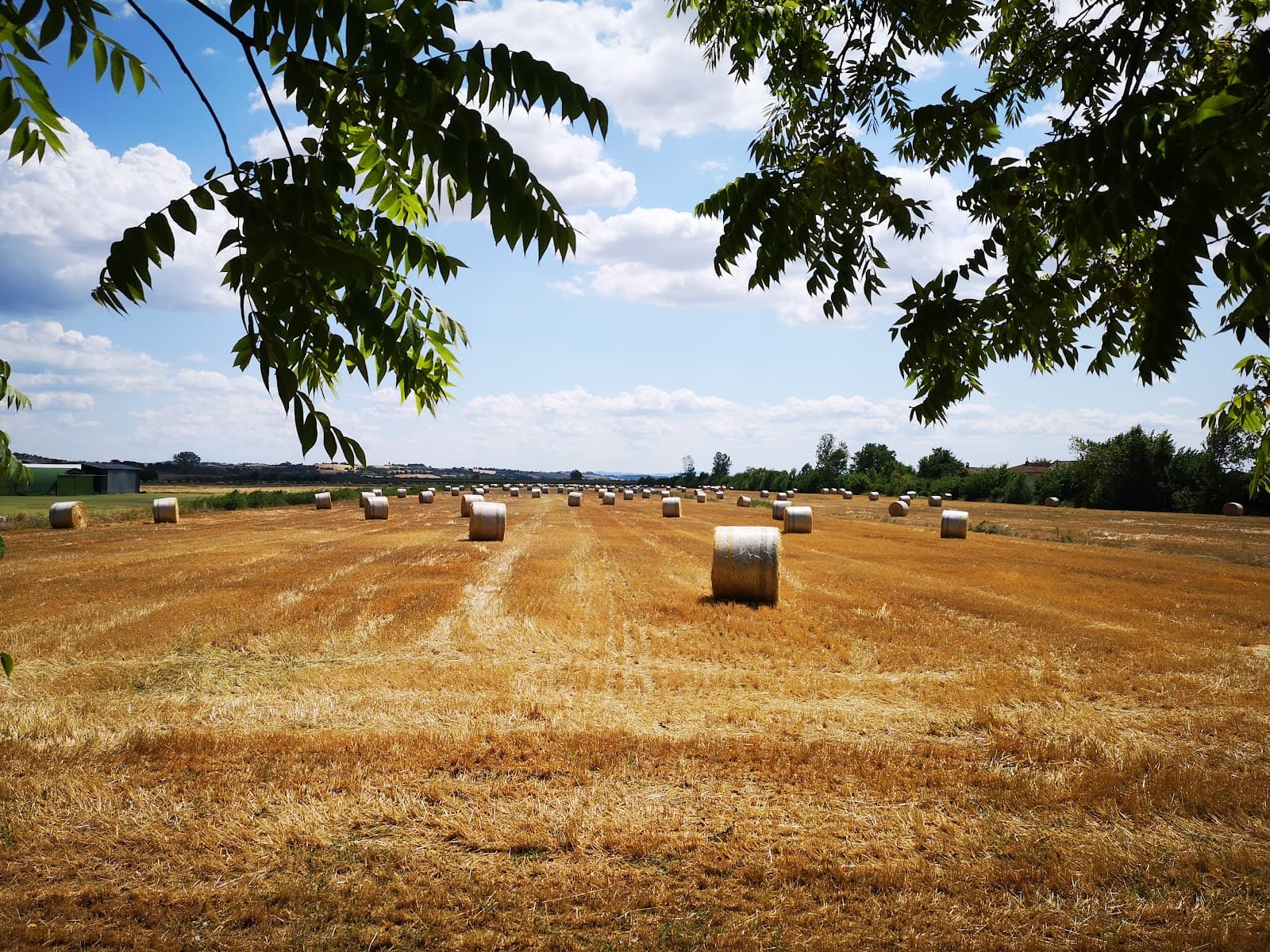 Sentiero della Bonifica - Image 1