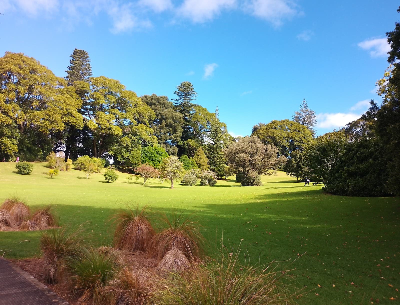 Monte Cecilia Park Auckland - Image 1