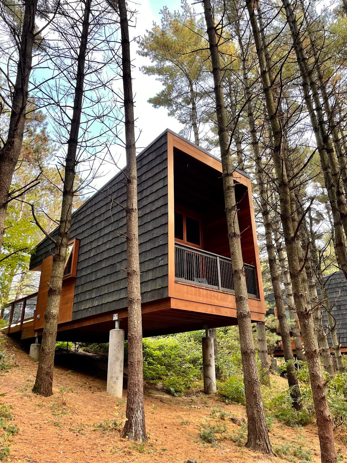 Whitetail Woods Regional Park - Image 1