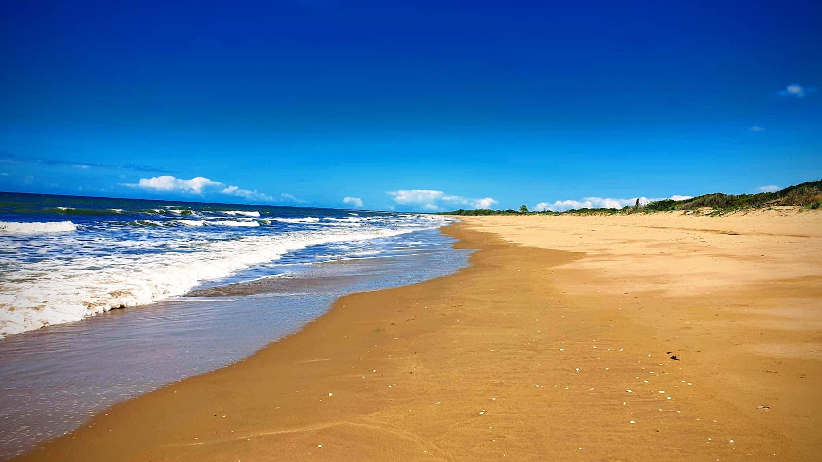 Local Markets & Festivals