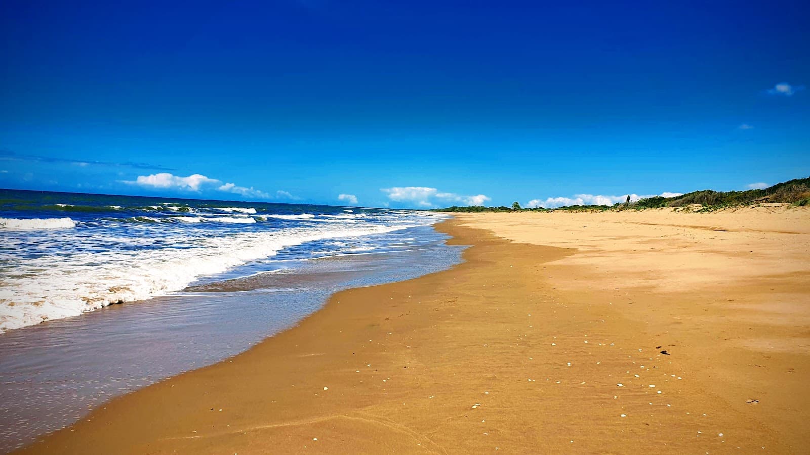 Moore Park Beach - Image 1