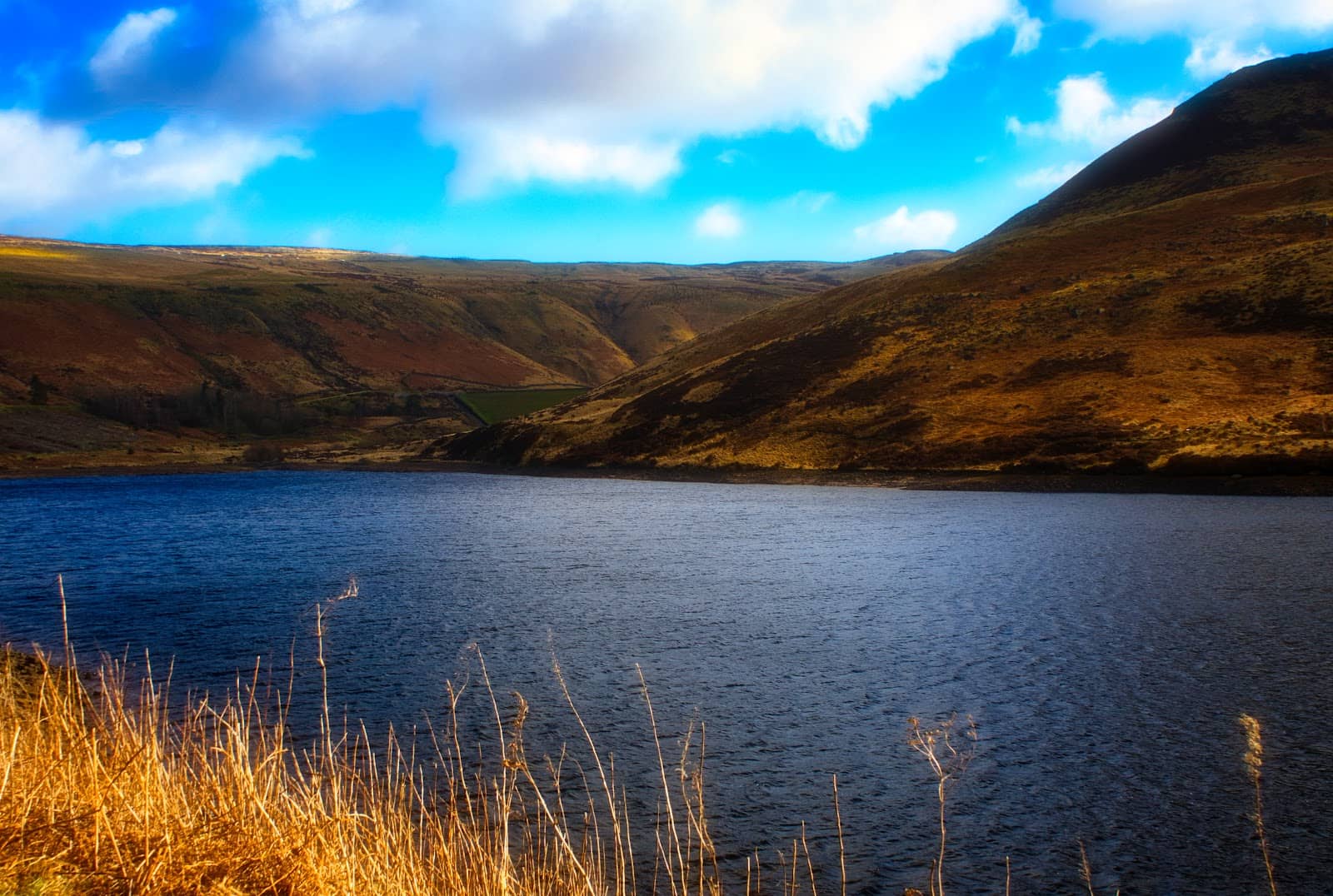 Accessible Lakeside Path