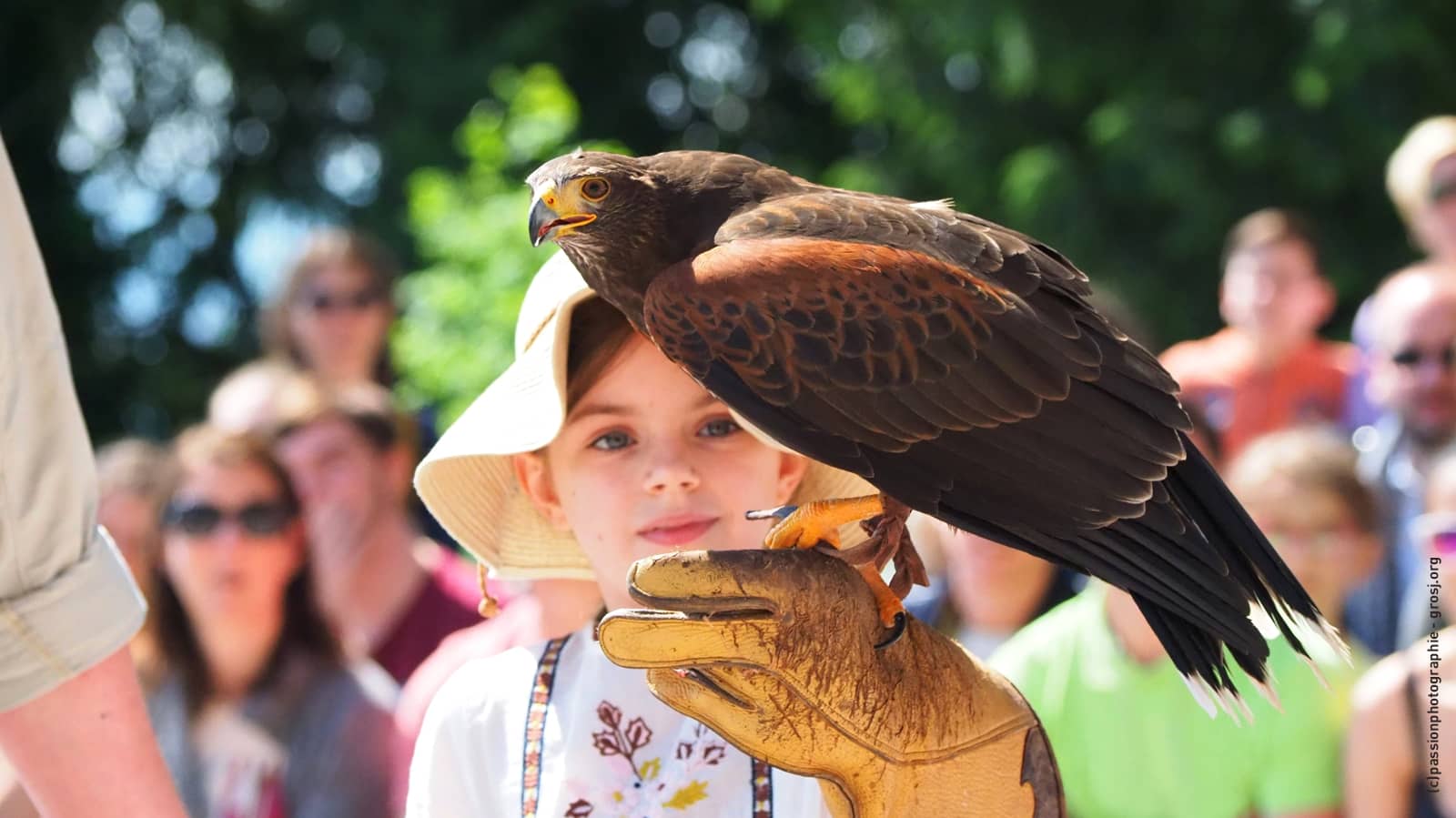 Medieval Castle Ambiance