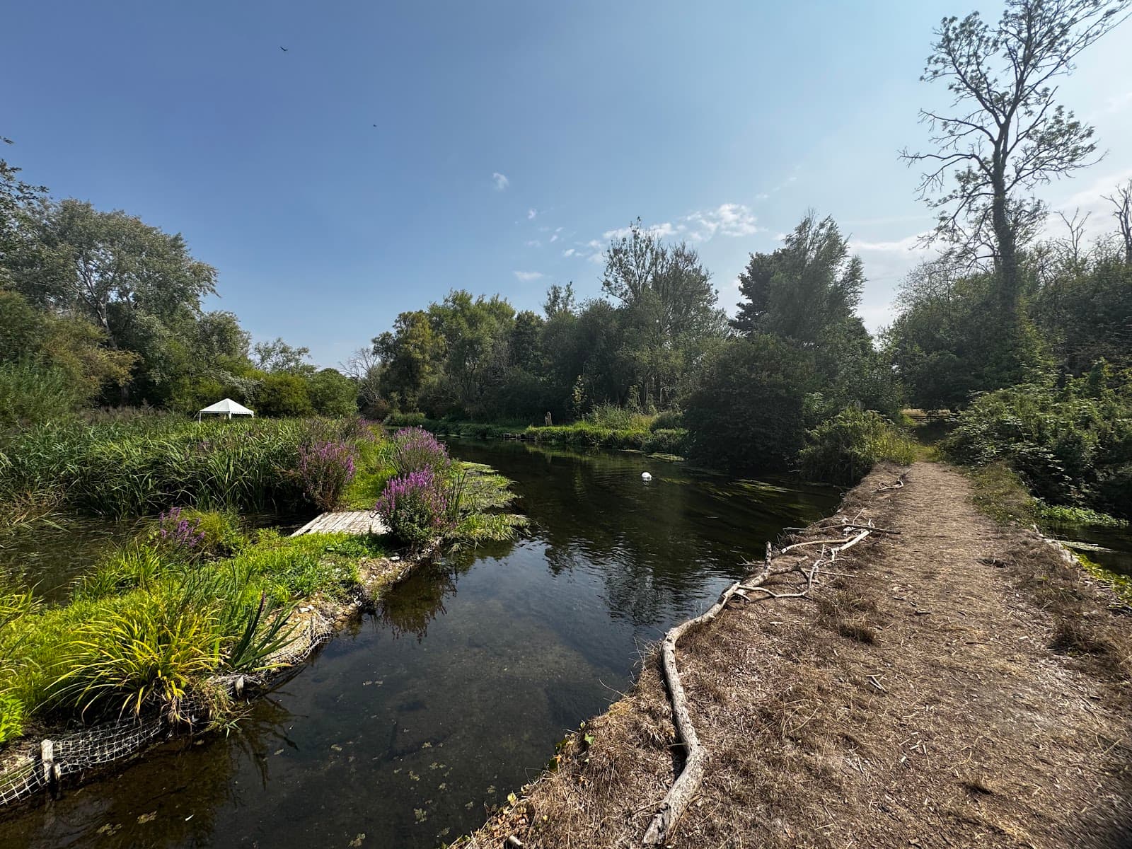 Bluestonehenge - Image 1