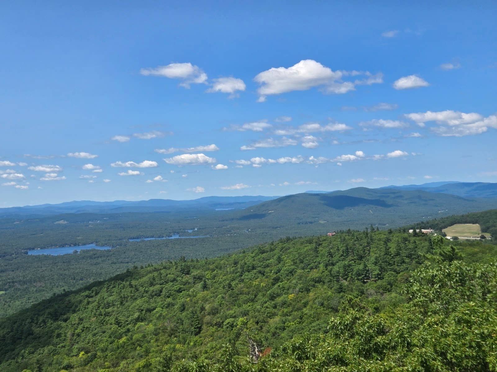 Picturesque Fish Pond
