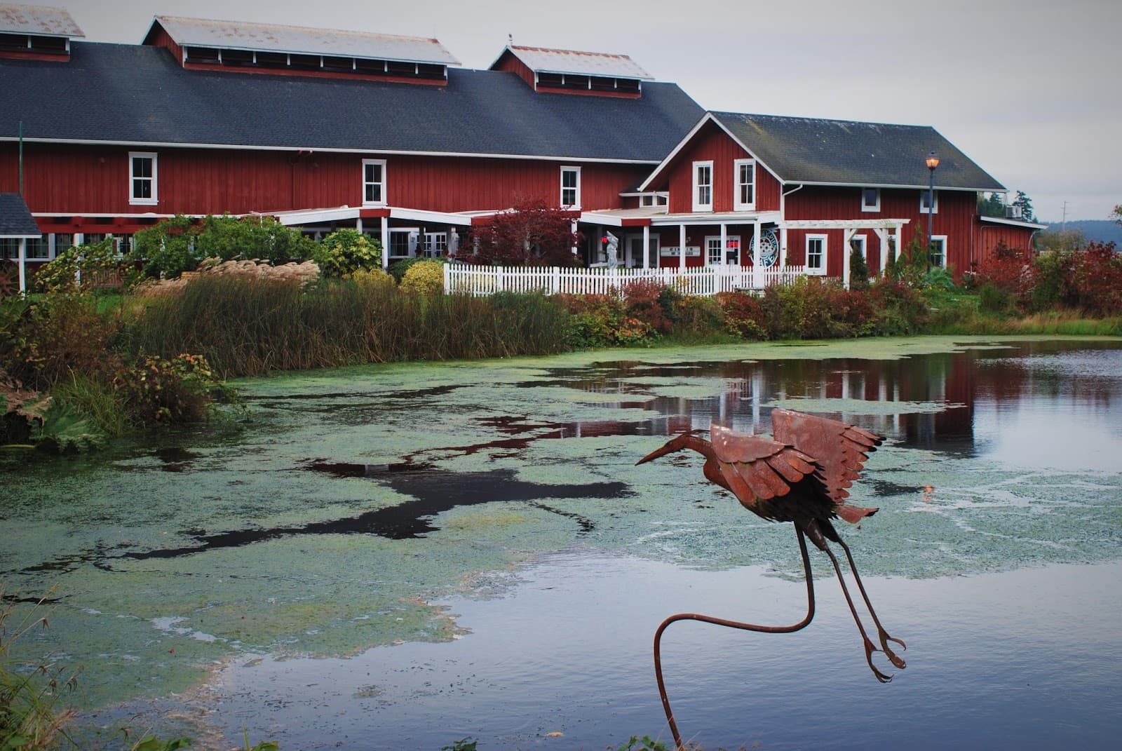 Greenbank Farm - Image 1
