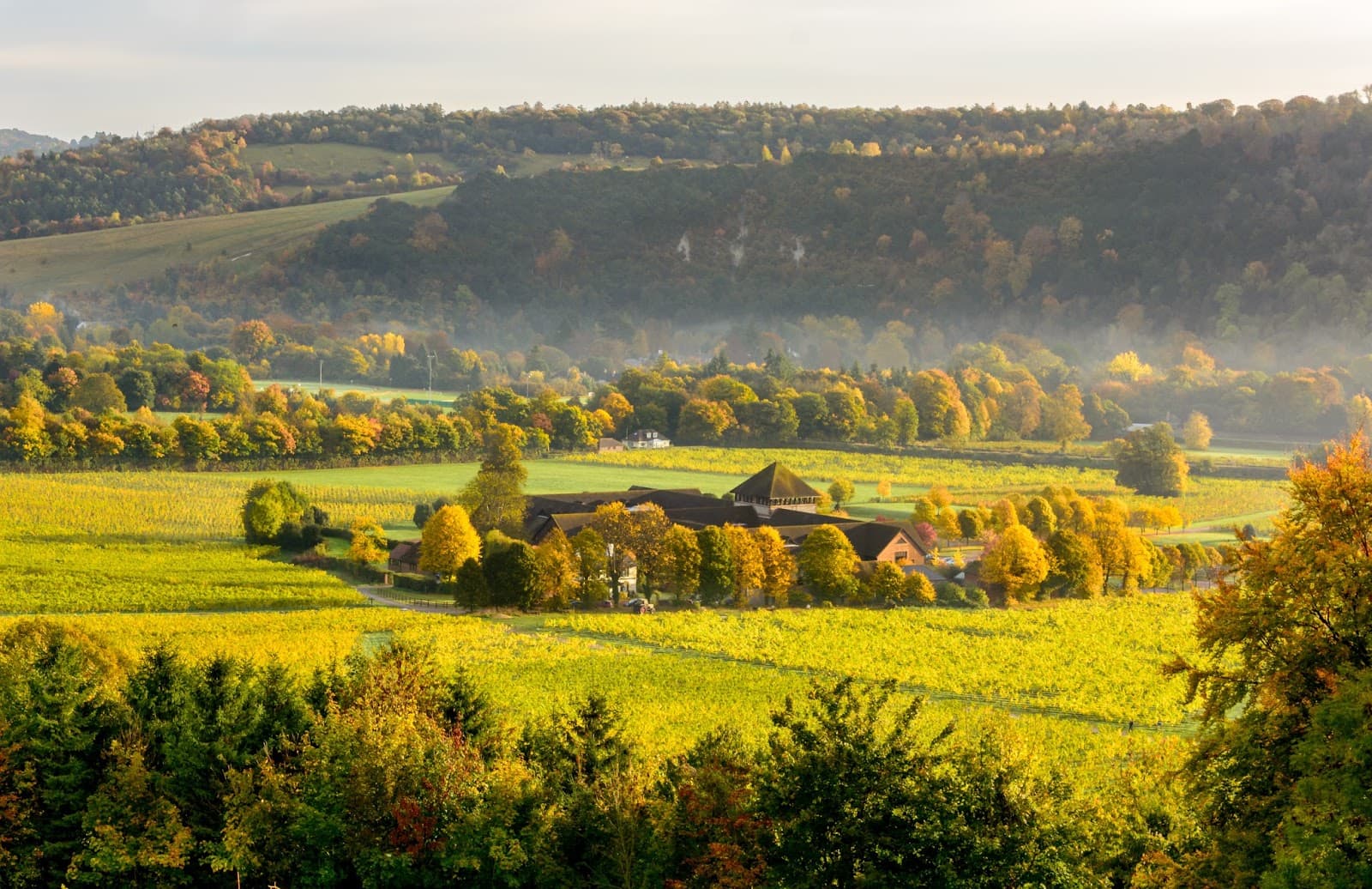 Denbies Wine Estate - Image 1