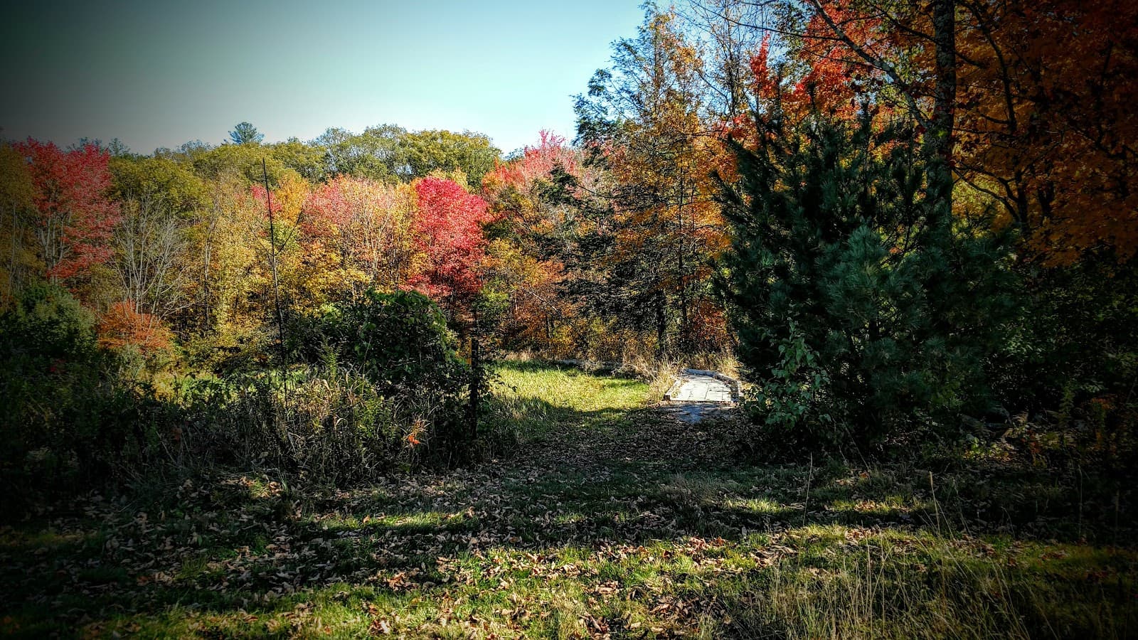 Heins Farm Conservation Area - Image 1