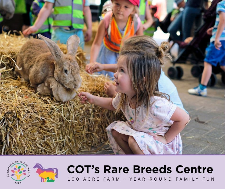 South of England Rare Breeds Centre - Image 1