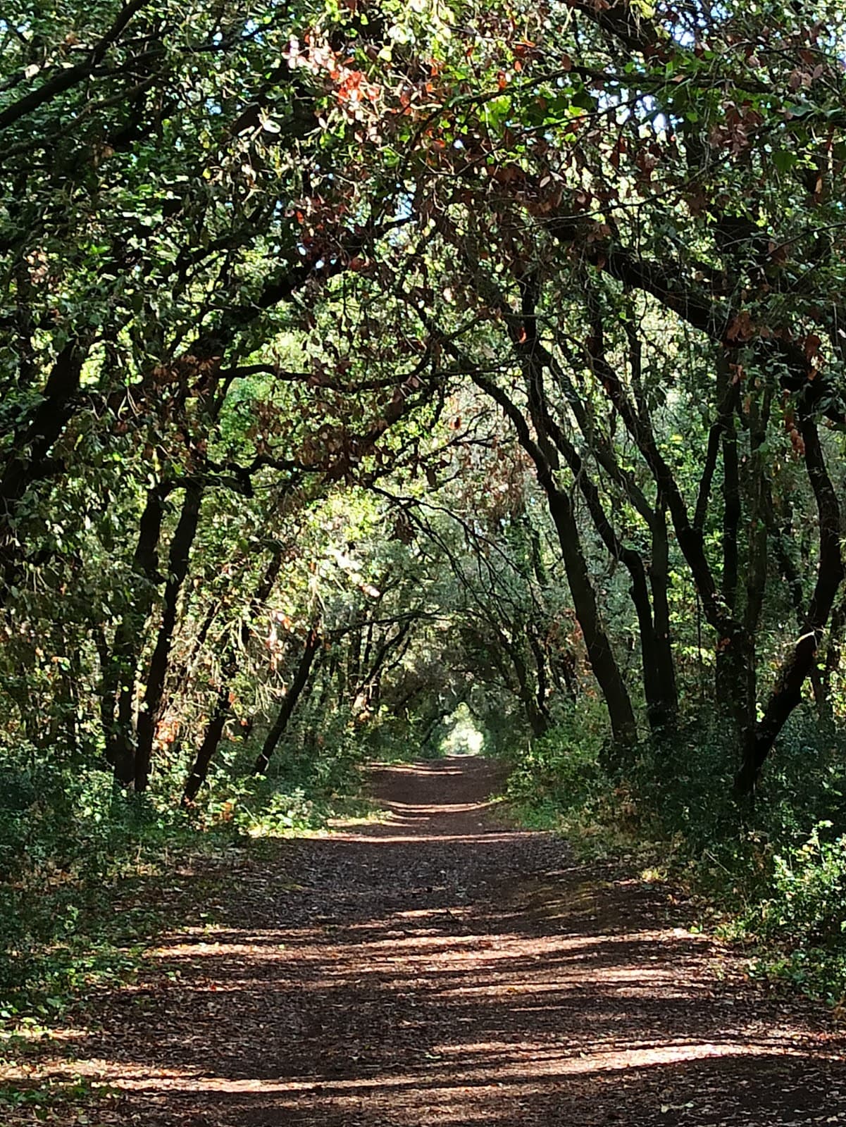 Roman Coast Nature Reserve - Image 1