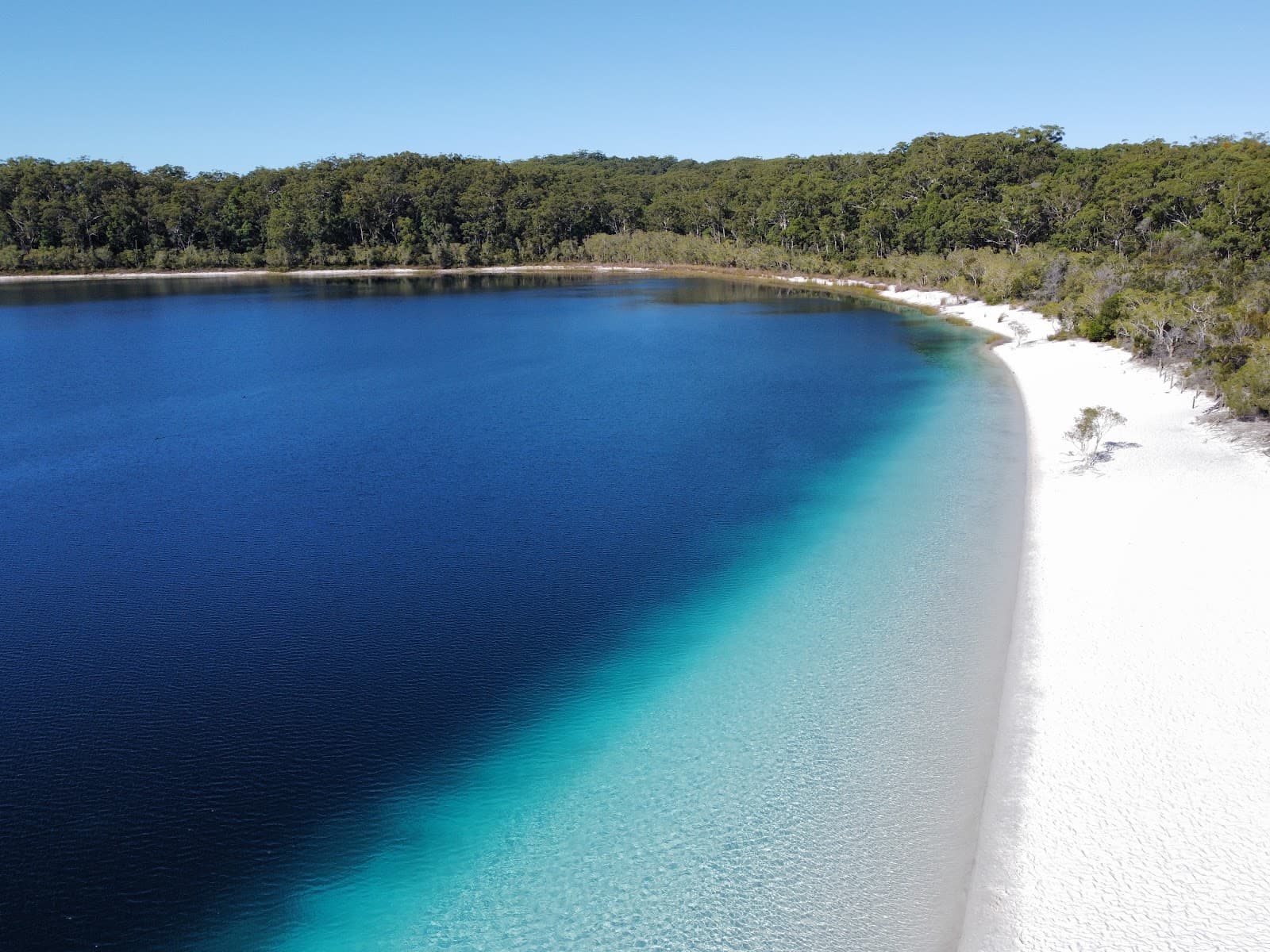 Lake McKenzie Fraser Island - Image 1