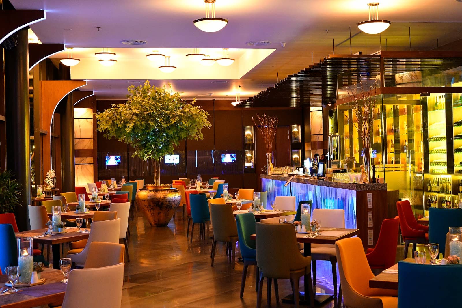 Celebration Packages