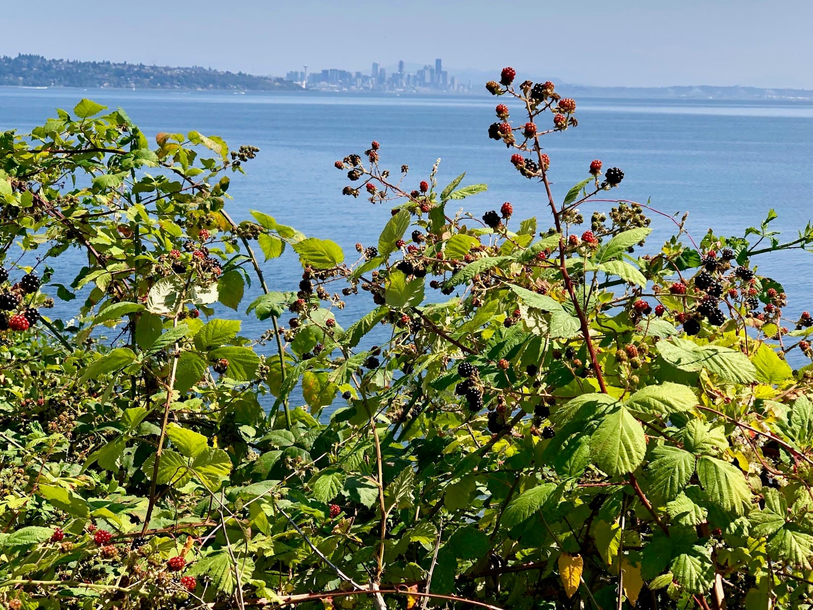 Manitou Beach - Image 1