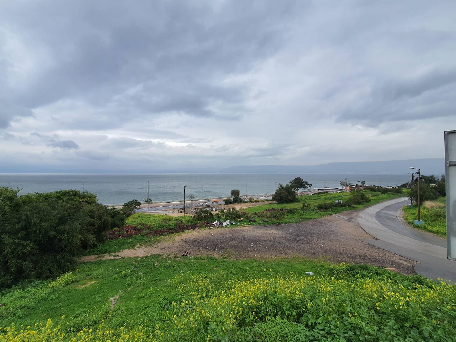 Ancient Synagogue Mosaics
