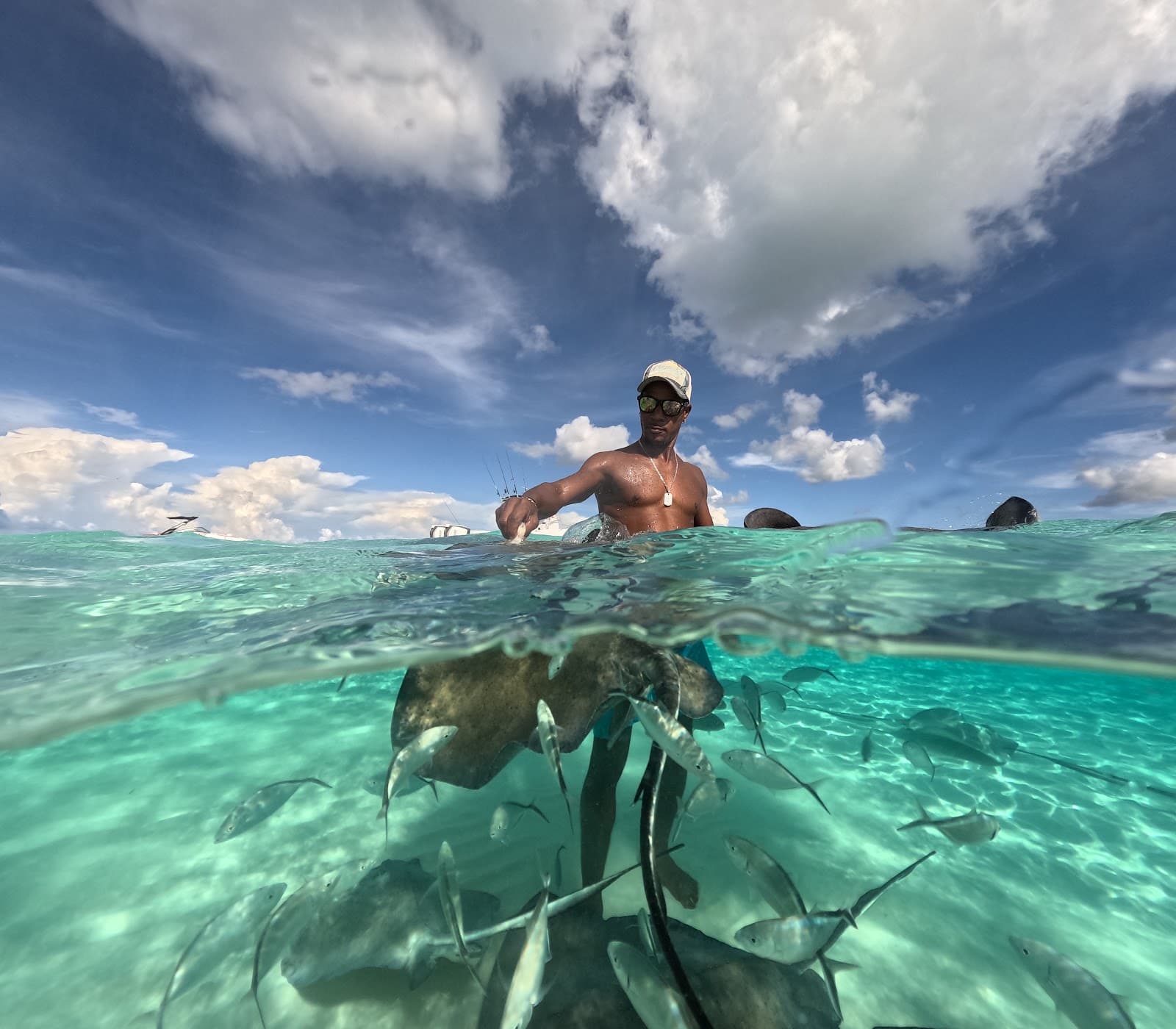Stingray City Sandbar - Image 1