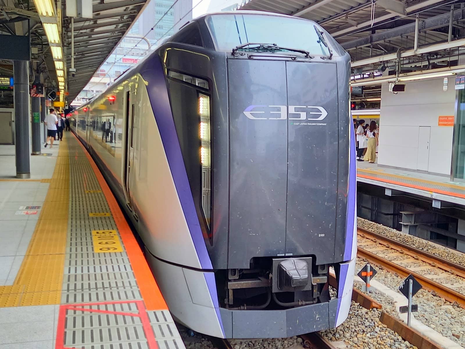 Kabukicho's Neon Glow