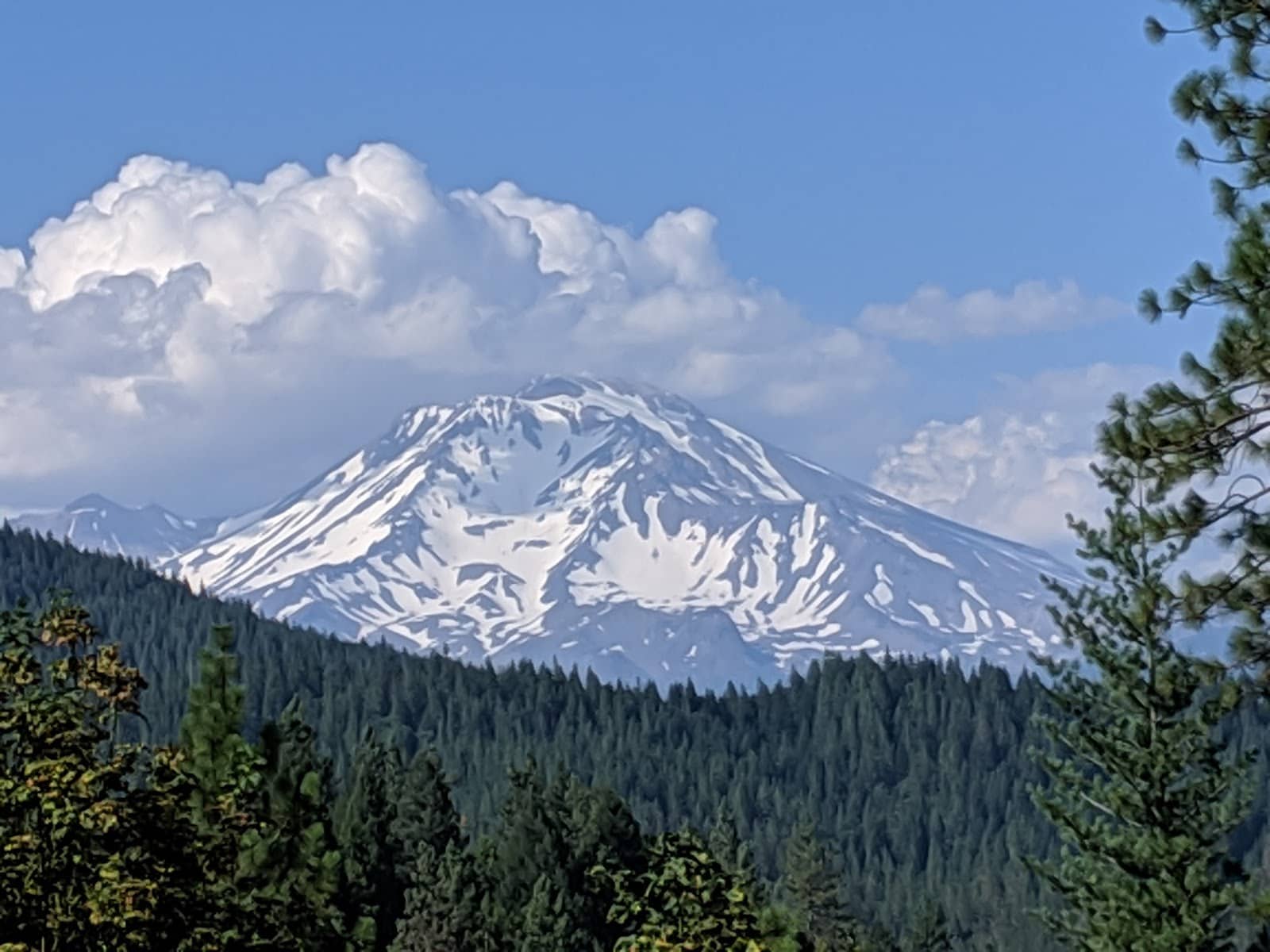 The 'Three Shastas' View