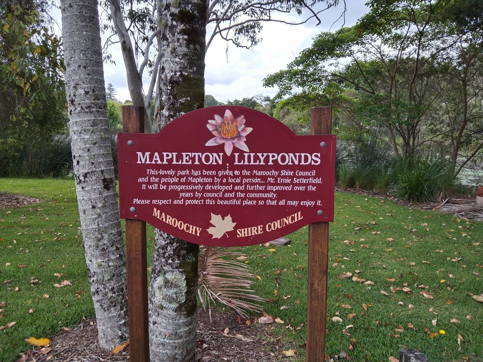 Mapleton Lilyponds Park - Image 1