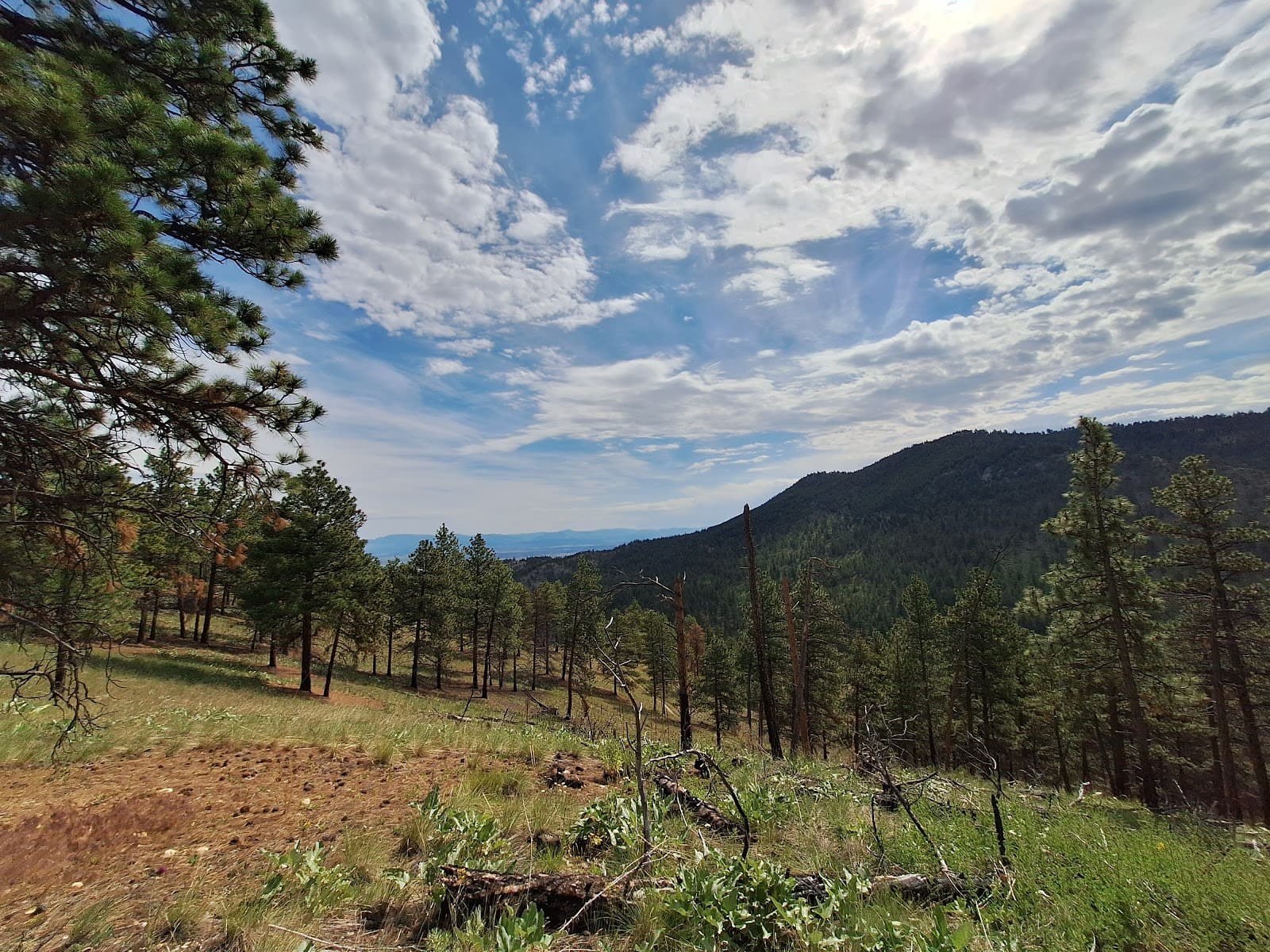 South Hills Trail System - Image 1