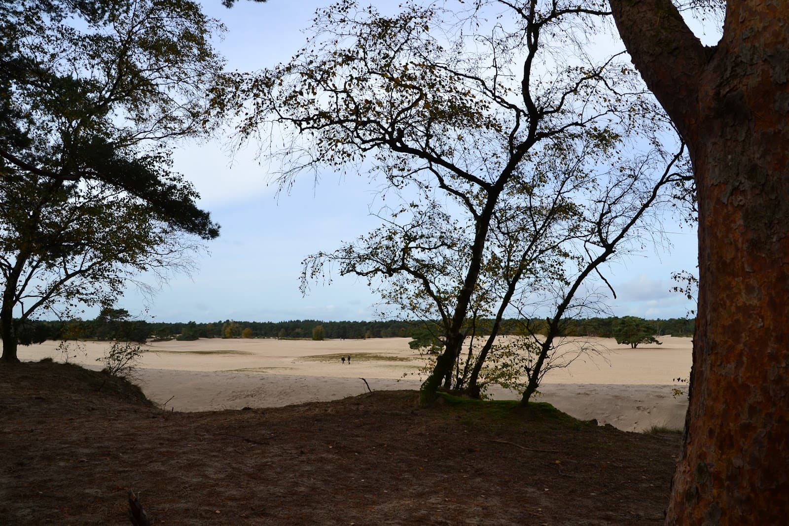 Soesterduinen - Image 1