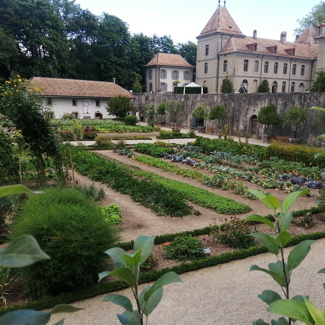 Prangins Village - Image 1