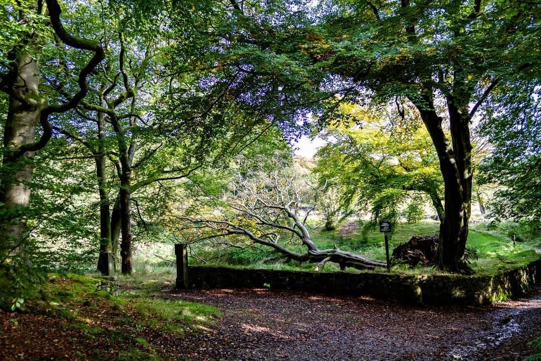 Tockholes and Roddlesworth - Image 1